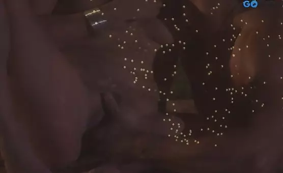 sexx - Erotic Encounters on Tropical Shores